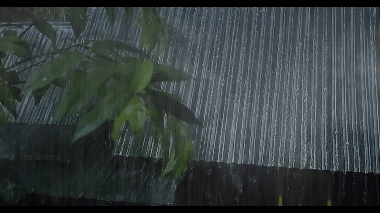 Непрерывный дождь на жестяной крыше 🌧️ Мгновенный сон 🌙