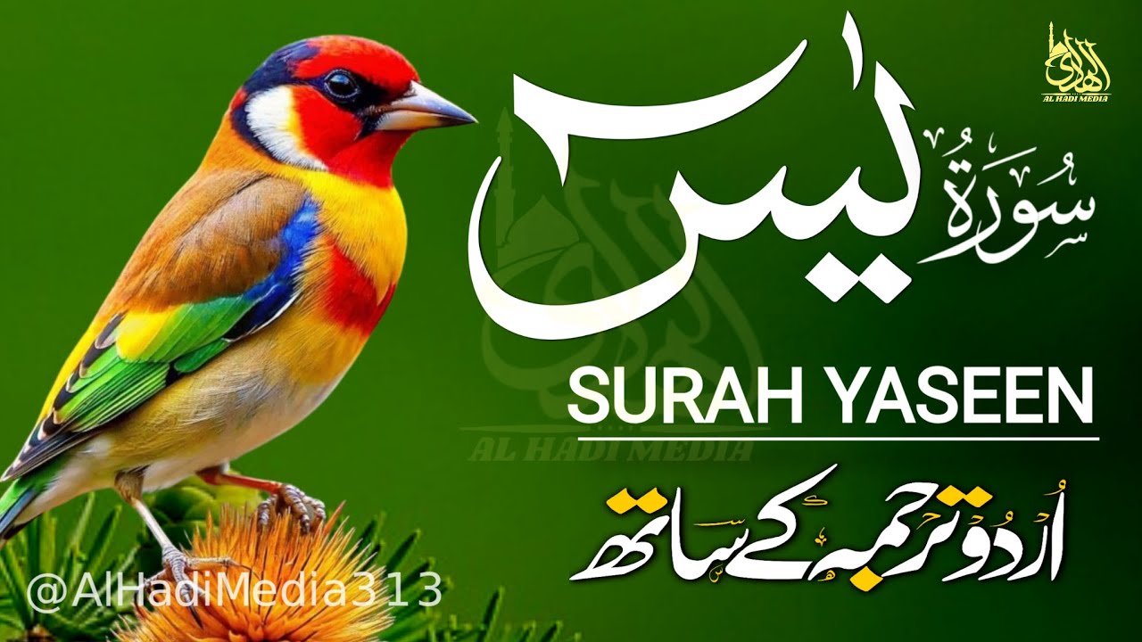 Surah Yaseen Urdu Tarjuma ke Sath | Peaceful Recitation | Episode - 650