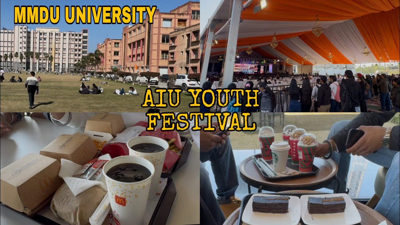AIU Youth Festival ( MMDU ) Funny vlog 