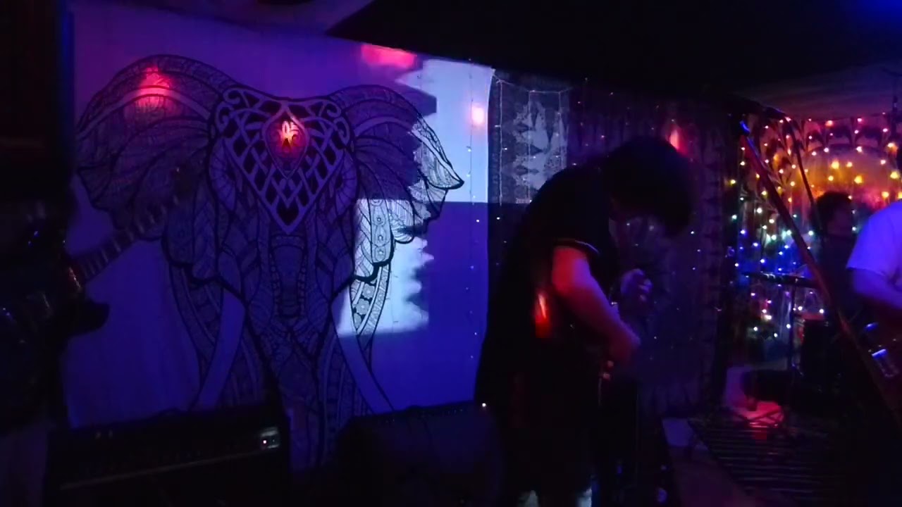 In-Dreamview - Pinnacles (live)