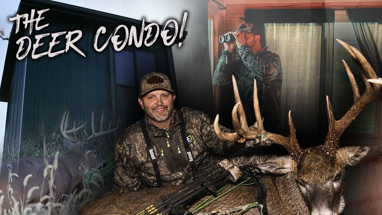 Hunting from a PENTHOUSE SUITE in ILLINOIS!