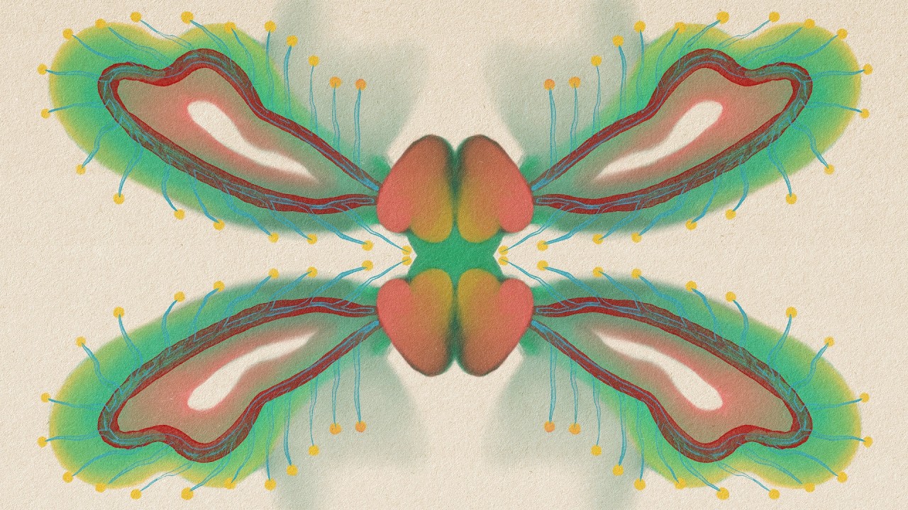 Embody Your 𝓈𝑜𝓊𝓁-𝓈𝑒𝓁𝒻 🍀 Reiki-Infused Art Subliminal