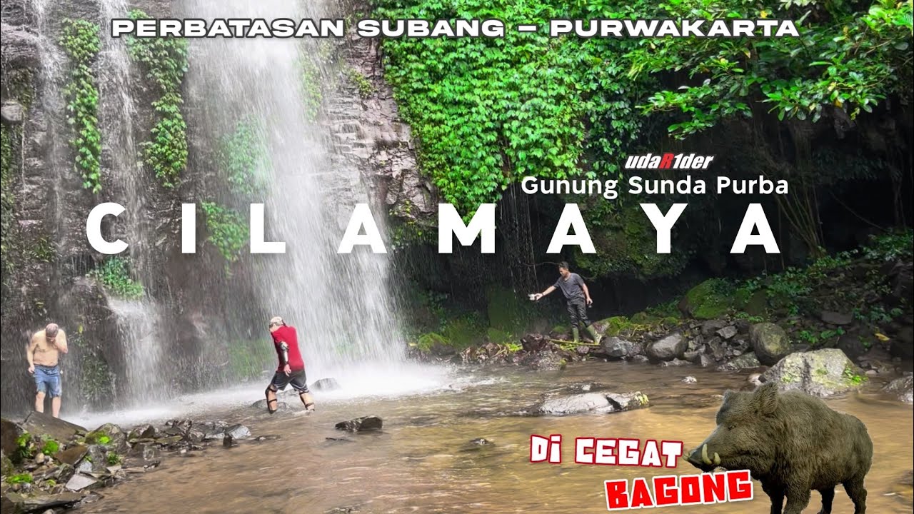 Dicegat Bagong Saat Menuju Curug Cilamaya | Inilah Hulu Sungai Cilamaya…