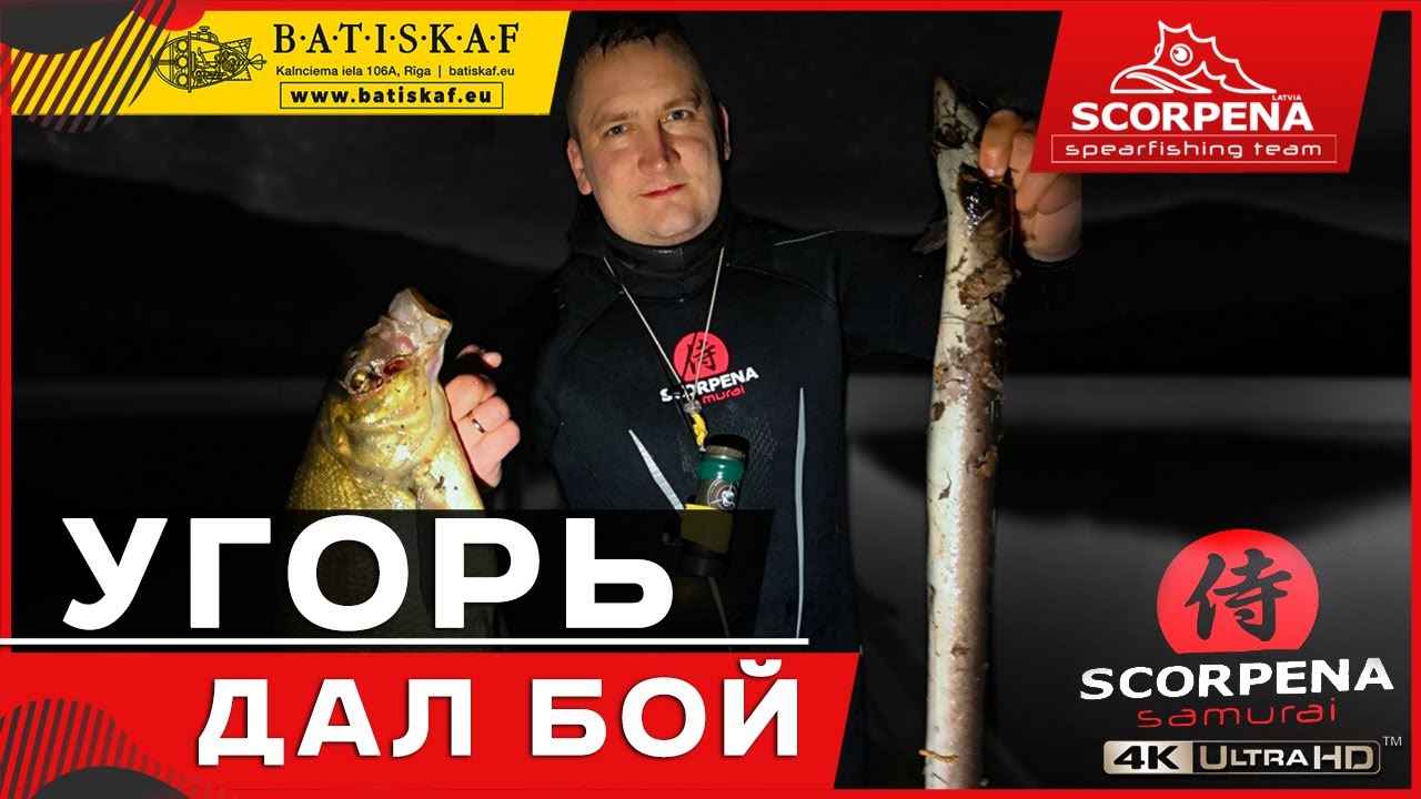 Огромный угорь дал бой и всё запутал на подводной охоте