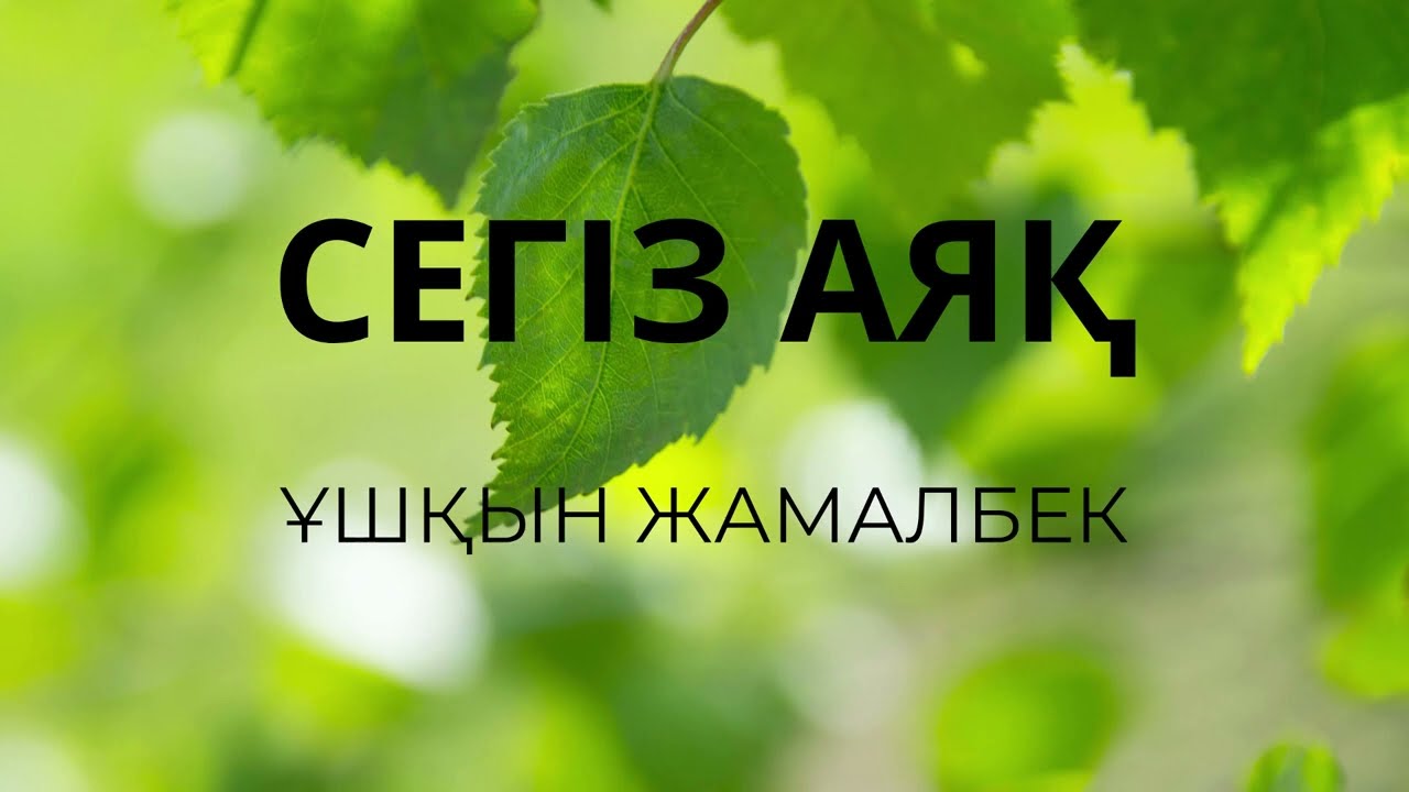 Ұшқын Жамалбек – Сегіз аяқ