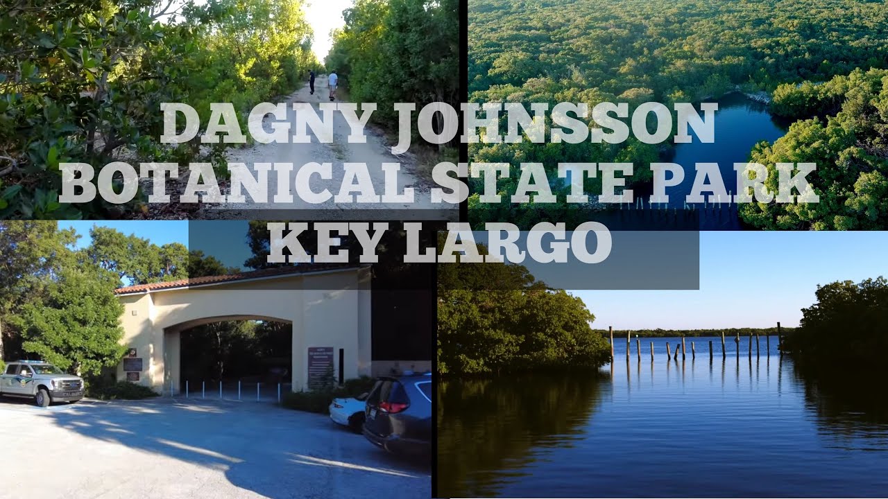 Dagny Johnson Key Largo Hammock The Florida Keys