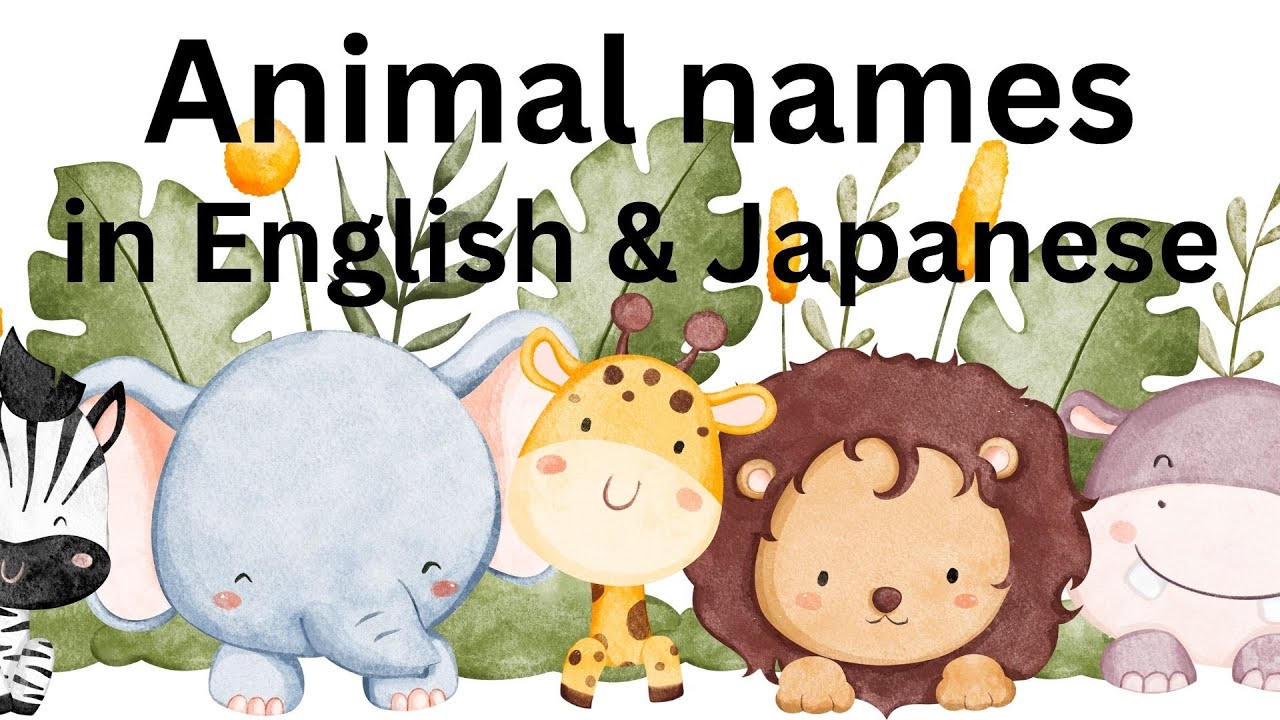 Learn animal names in English and Japanese with beautiful images.とても美しい画像とともに英語と日本語で動物の名前を学びましょう。