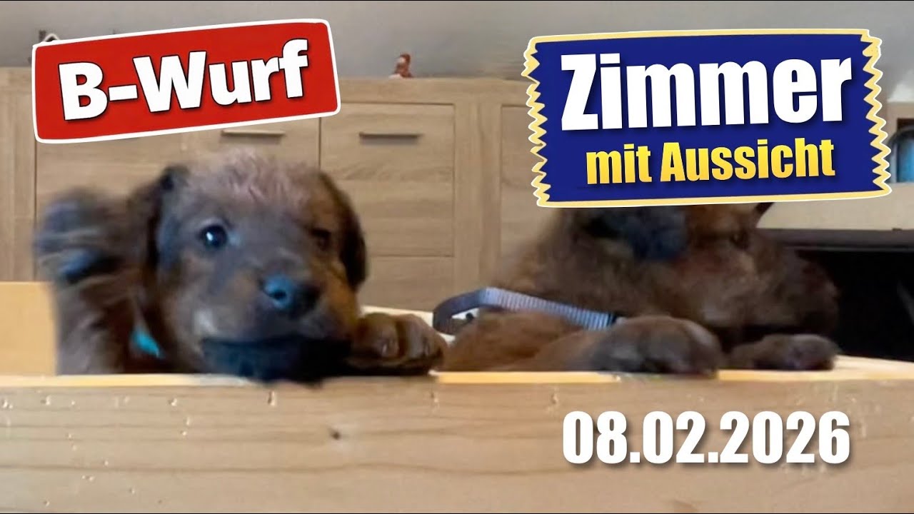 Zimmer mit Aussicht - Hallo Nachbar ;-)