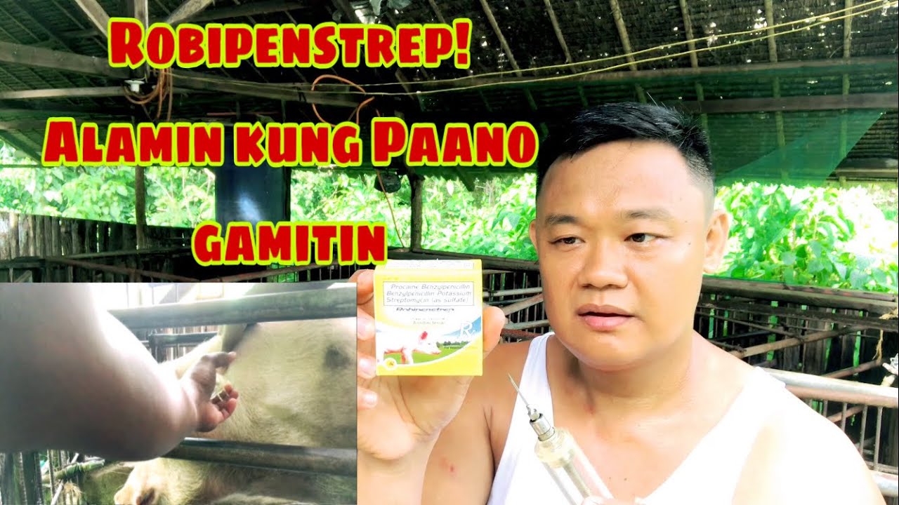 Paano gagamitin ang robipenstrep | robipenstrep | Ryan Patenio