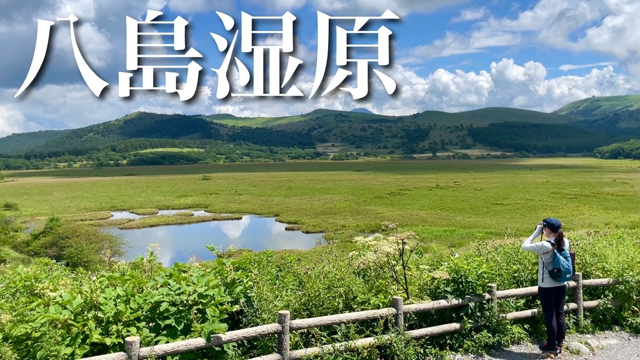 【夫婦登山】夏のお花を楽しむ霧ヶ峰 八島湿原ハイキング｜長野県諏訪市