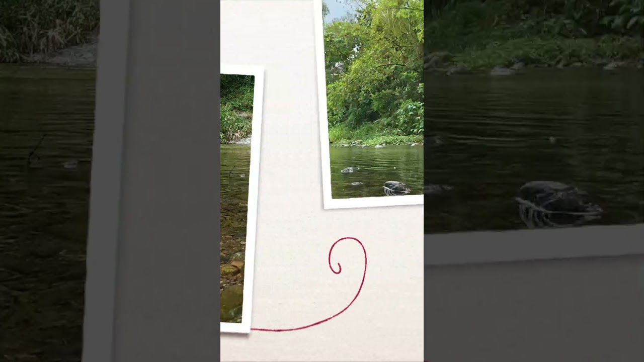 No AI Nature video and Real Sound