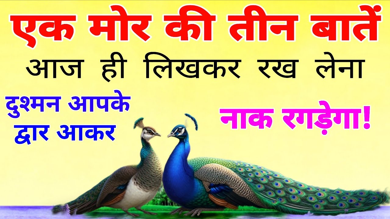 एक मोर की तीन कीमती बातें, आज ही लिखकर रख लेना दुश्मन आपके द्वार आकर नाक रगड़ेगा!