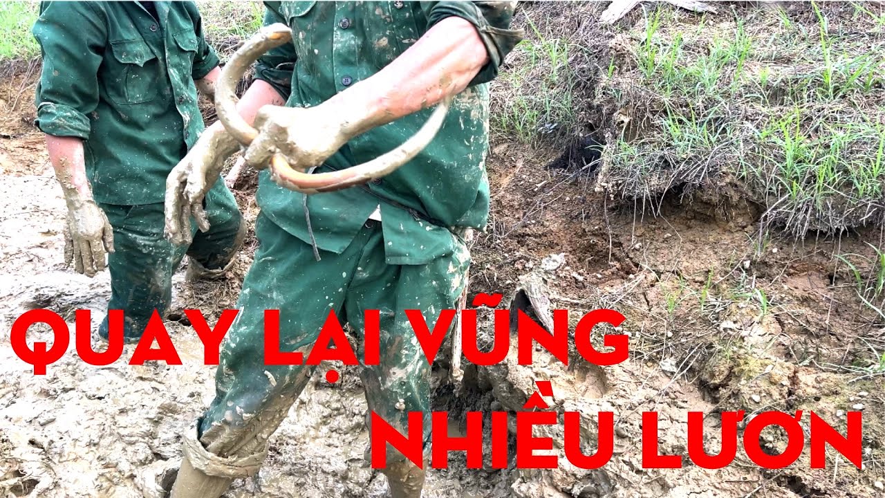 TÁT VŨNG BẰNG TAY-TỰ THỢ RỪNG