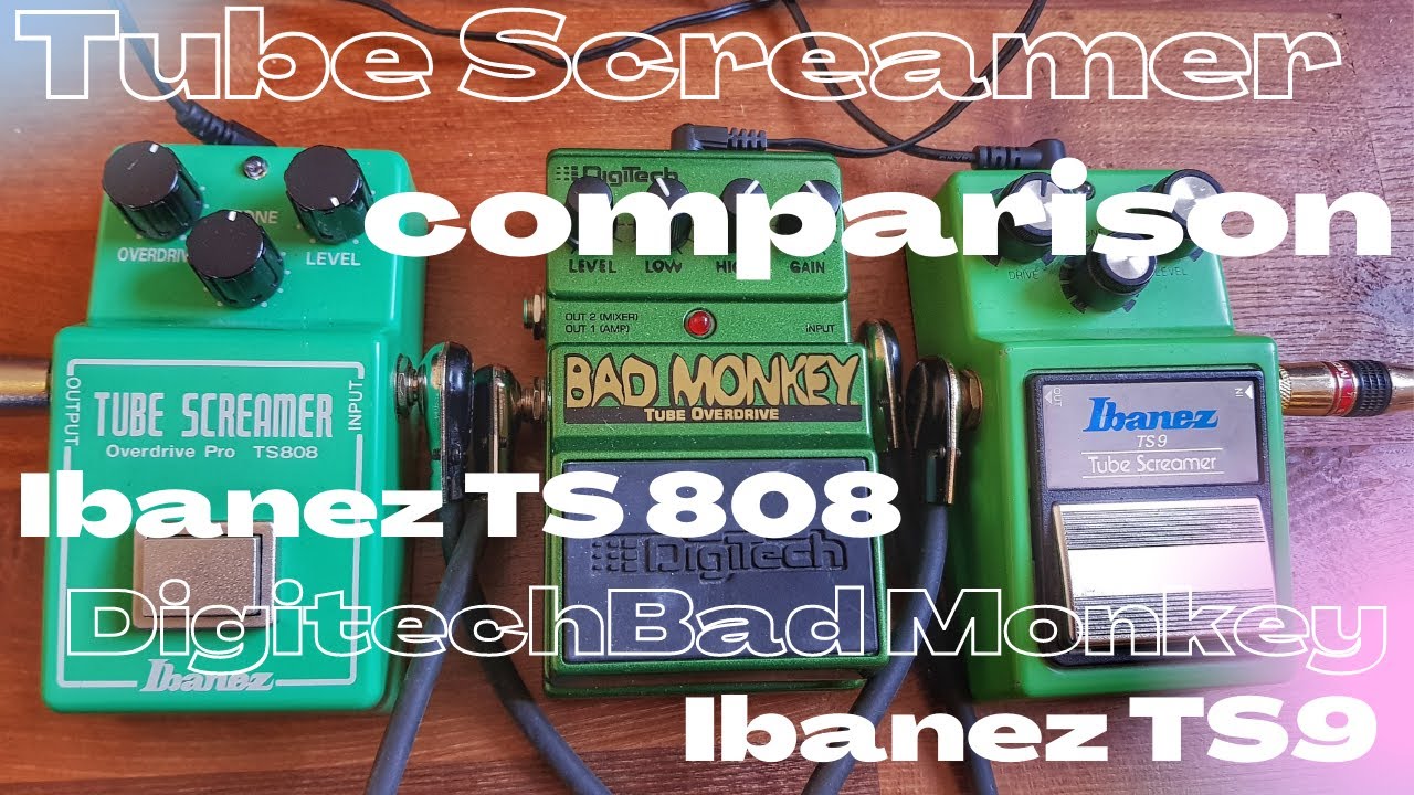 Tube Screamer comparison - Ibanez 808 vs. Digitech Bad Monkey vs. Ibanez TS9