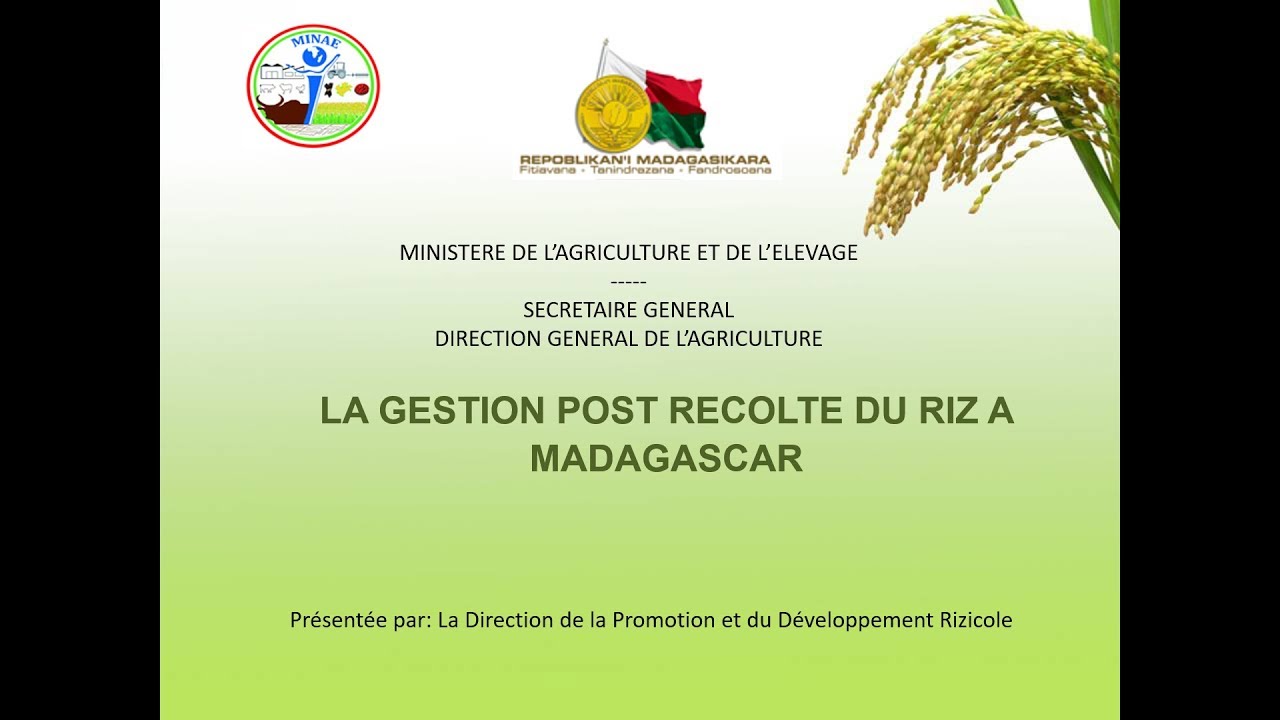 La Gestion Post Recolte Du Riz A Madagascar -  MINAE