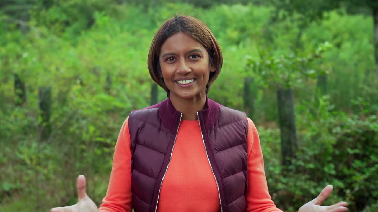 Sustainable Forests | Sustainable Energy