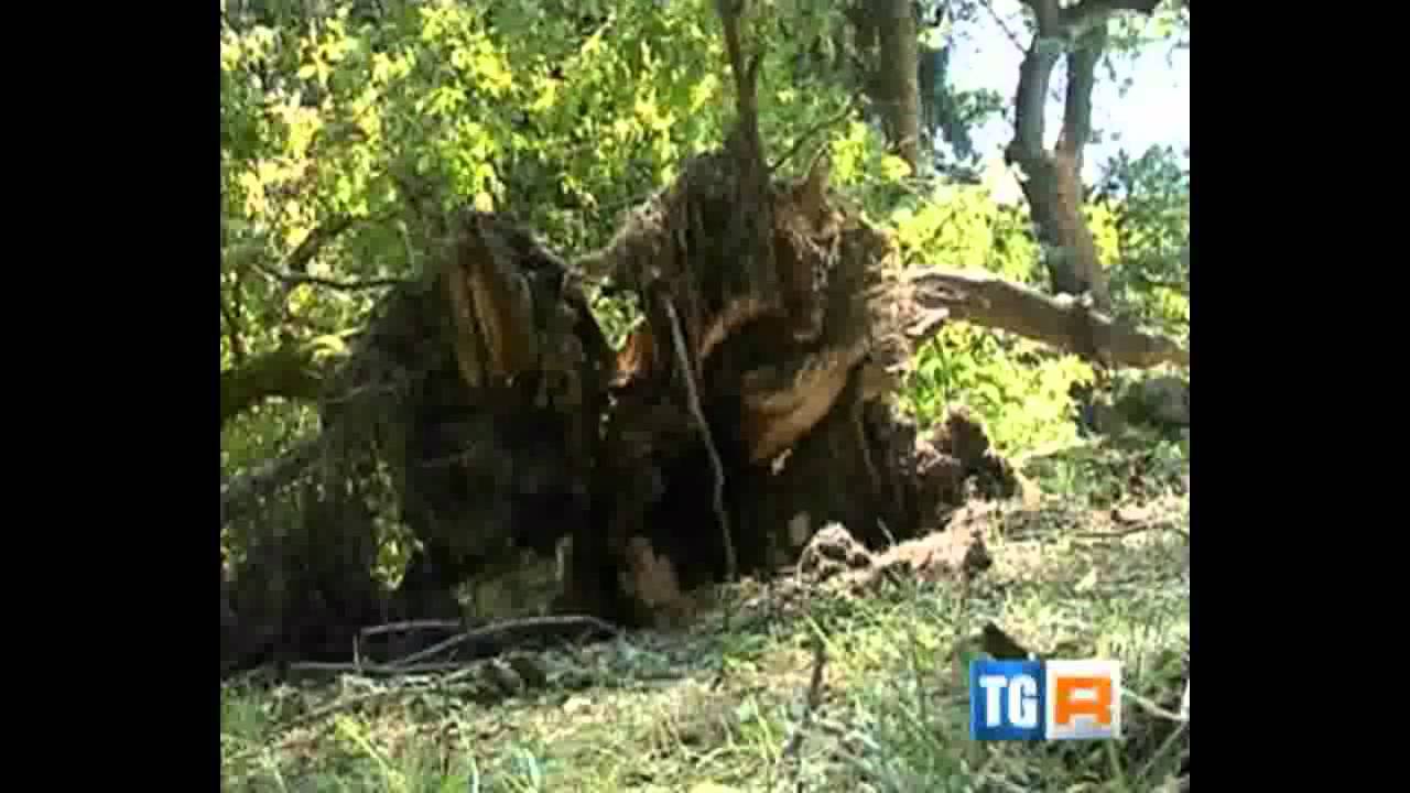Tromba d'aria a Badia Polesine: Danni ingenti alla Scuola 