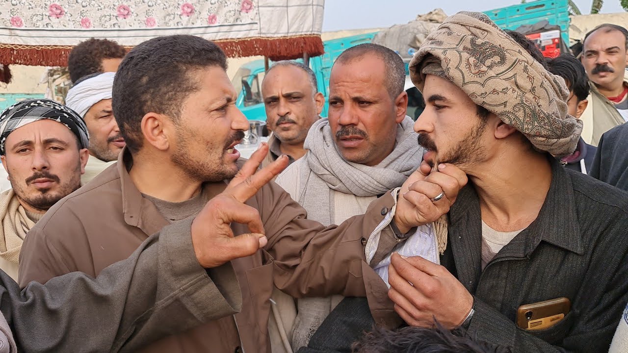 المفاوضه سخنت اوي في سوق بنها اثناء التفاوض علي شراء بقره والده من الحلوين اوي