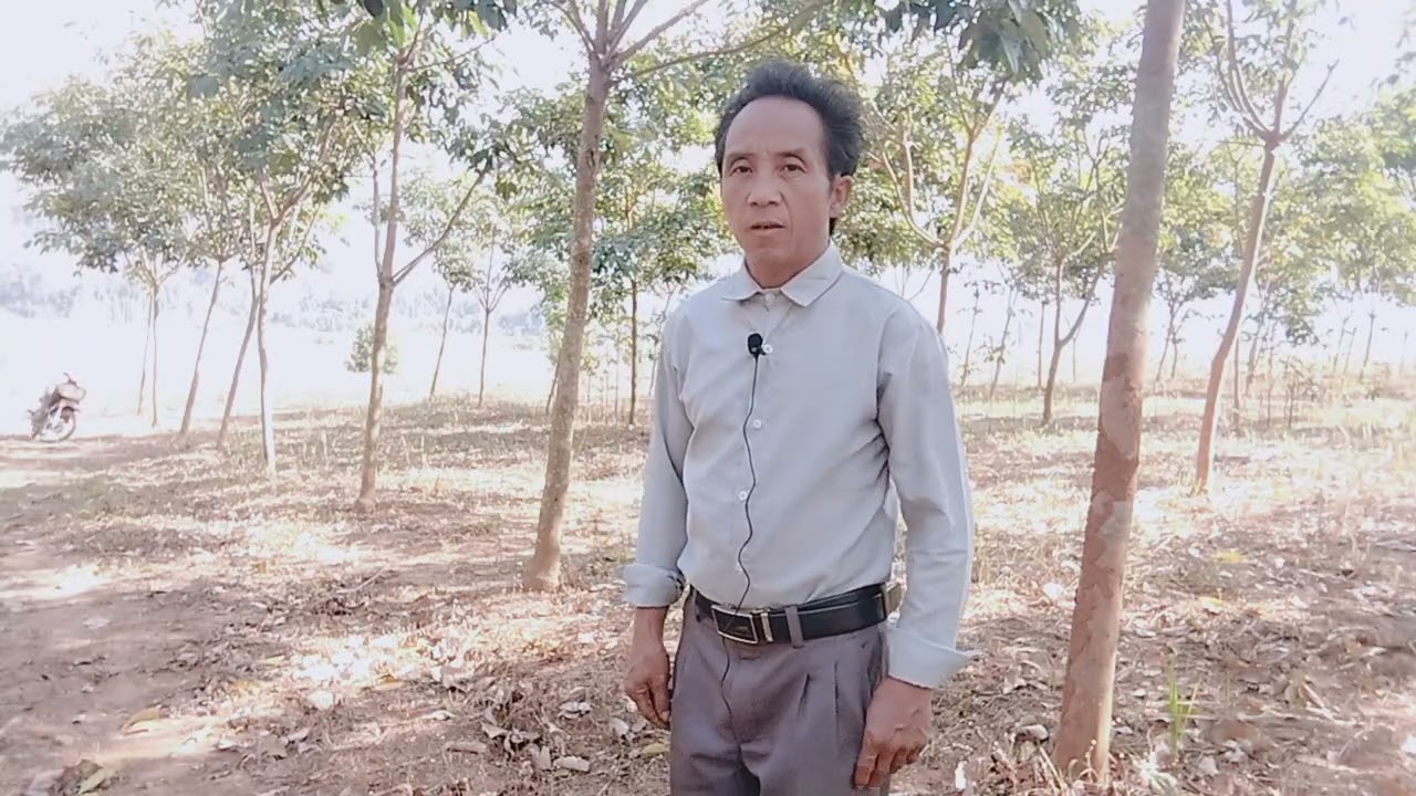 Neej Nus xyooj hai kwv txhiaj rau kab xia muas 