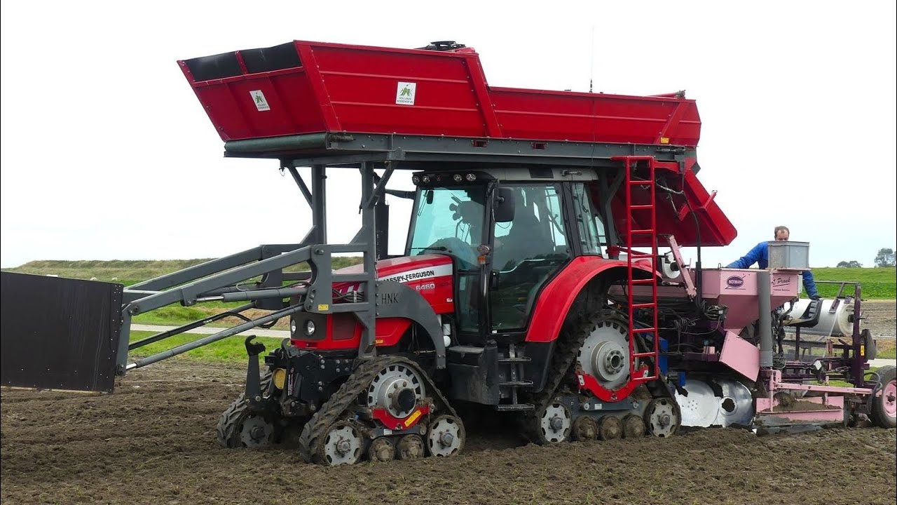 2021. Bollen planten bij Mts. Noordam in Uithuizen.