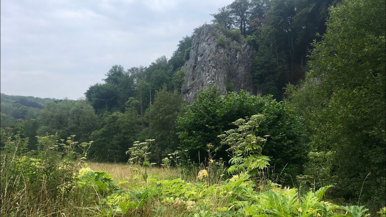 Wandern im Sauerland - Hiking in the Sauerland Nordrhein-Westfalen Germany 4K