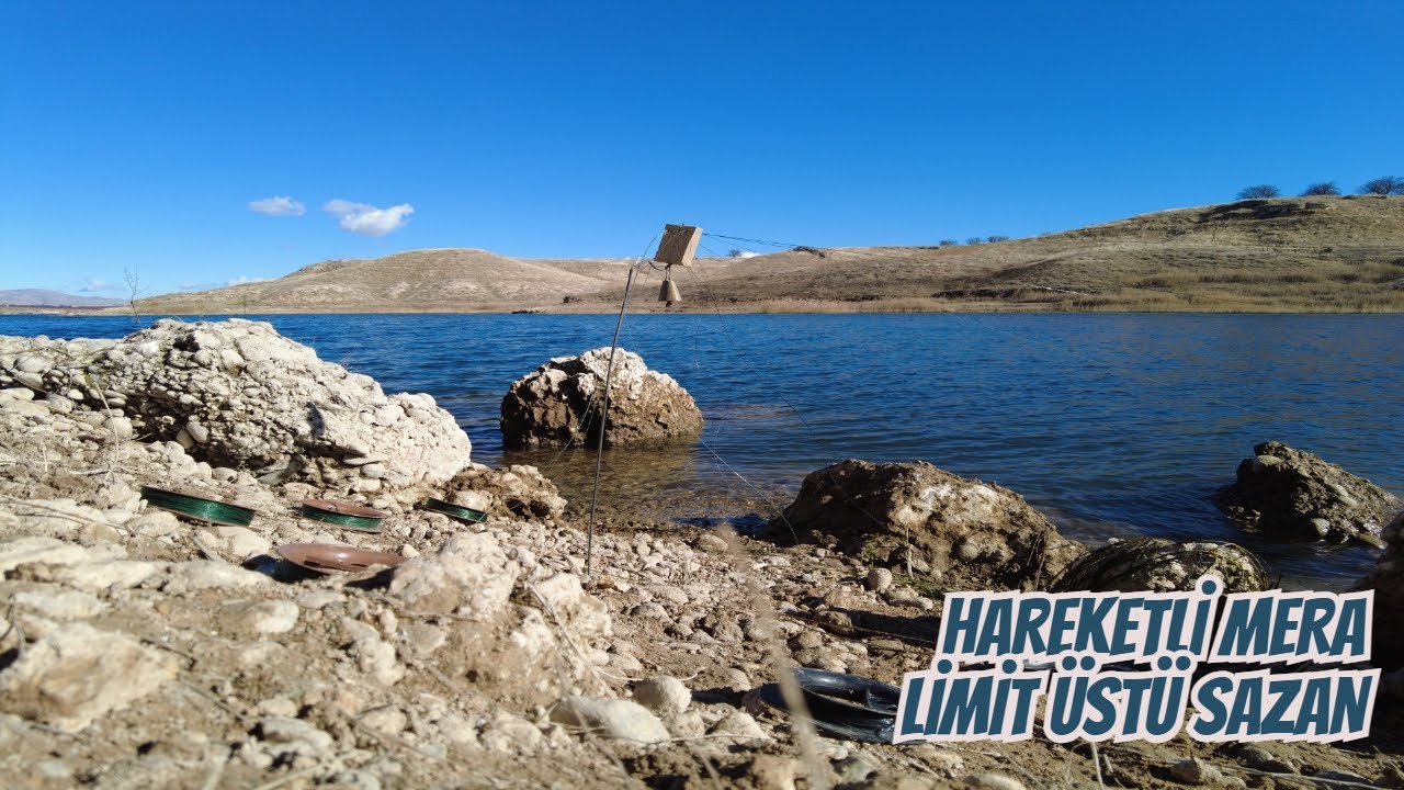 Balık Avı | Olta İle Limit Üstü Sazan  Avı | Bu Mera Çok Hareketli | Aralık 2024