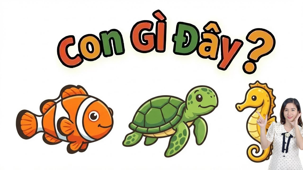 Sinh vật biển kỳ thú 🐙⭐ | Bé học con vật dưới nước