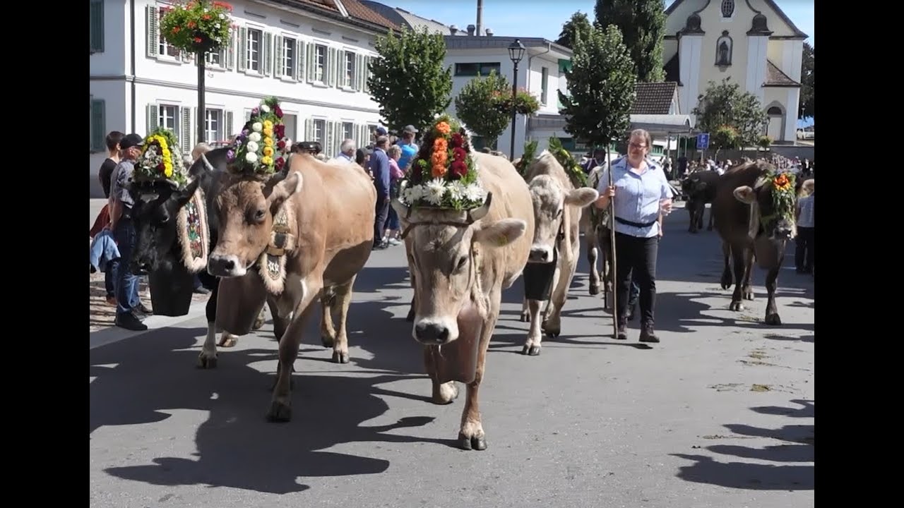 Melser Alpabfahrt 2025