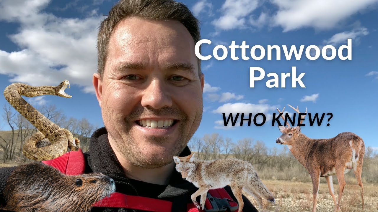 Cottonwood Park in Lethbridge AB - The Bones Don't Lie!