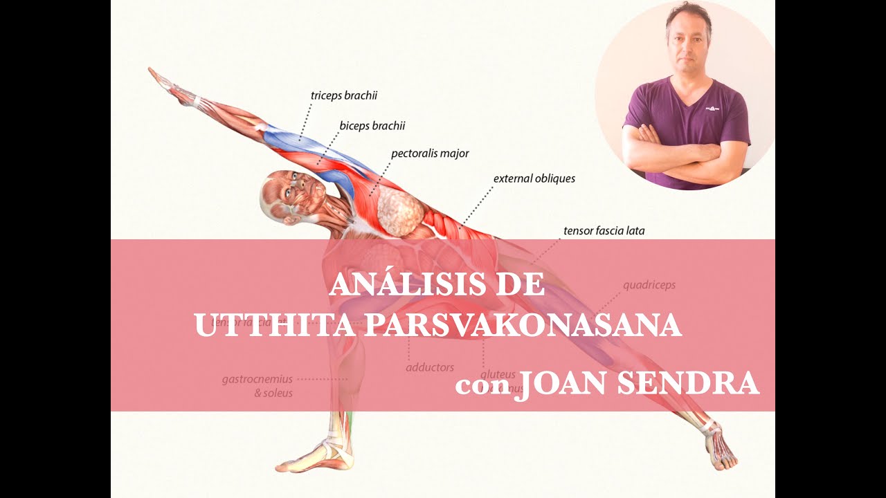 UTTHITA PARSVAKONASANA ANÁLISIS