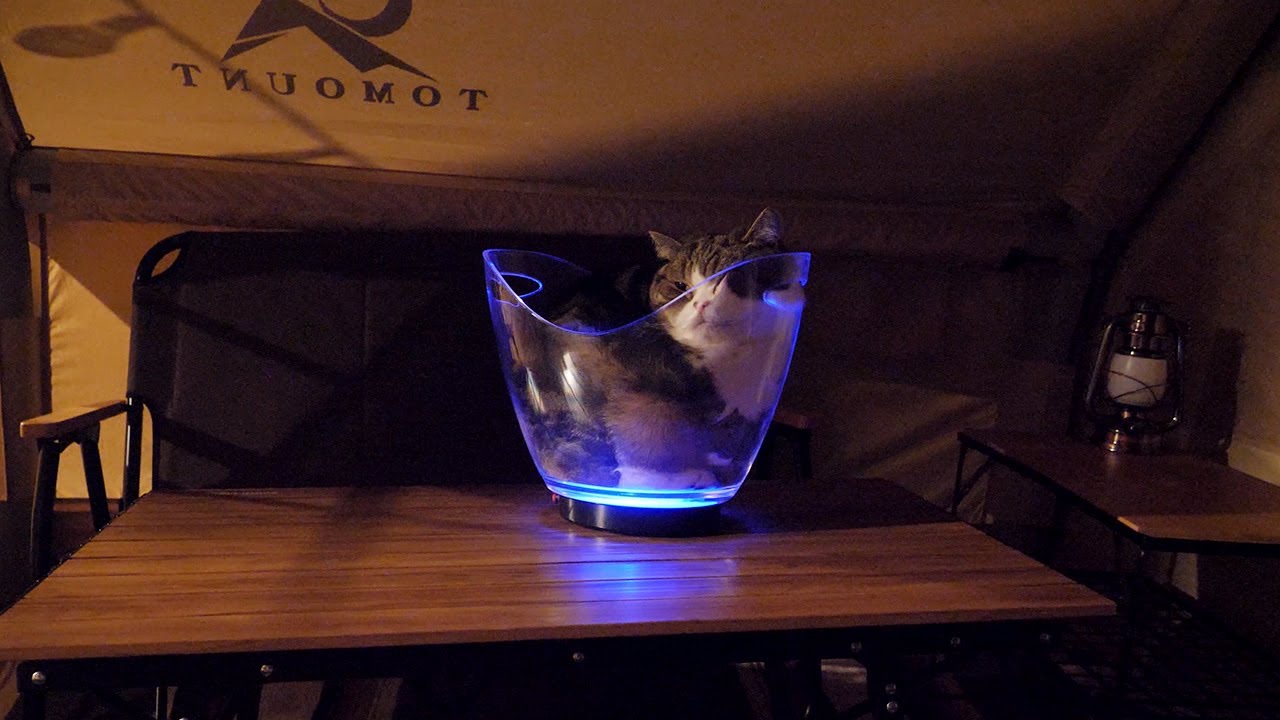 夜のテントとムーディーな液体ねこ。-Night Tent and Romantic Liquid Maru.-