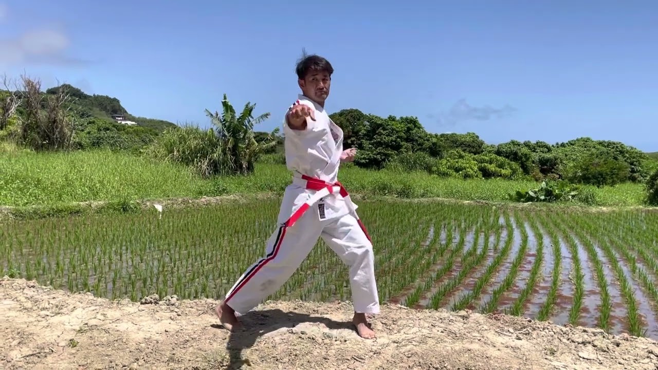 形　古式内畔戦　KATA KOSHIKI NAIHANCHI 少林寺流拳行館空手道