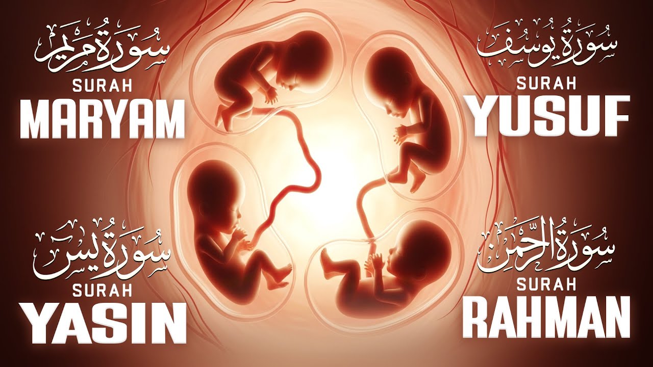 Pregnancy Quran Recitation For Mother And Baby Peaceful Mind | Surah Maryam | Yusuf | Yasin | Rahman