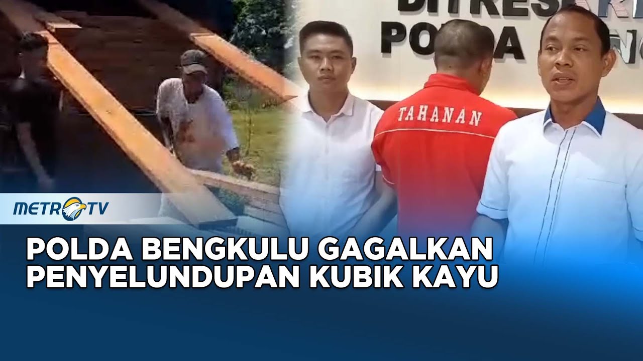 Polda Bengkulu Gagalkan Penyelundupan Puluhan Kubik Kayu Meranti