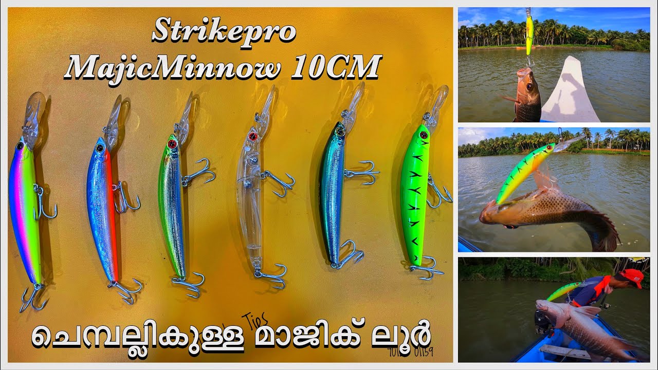 StrikePro majic minnow 10CM | ചെമ്പല്ലികുള്ള മാജിക്‌ ലൂർ | Majic lure for RedSnapper