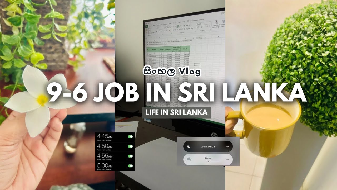 හිත සතුටින් job එක කරමූ |  9-6 office job in Sri Lanka 🇱🇰🍃 | adulting diaries | Work vlog