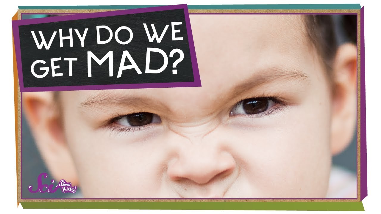 Why Do We Get Mad?