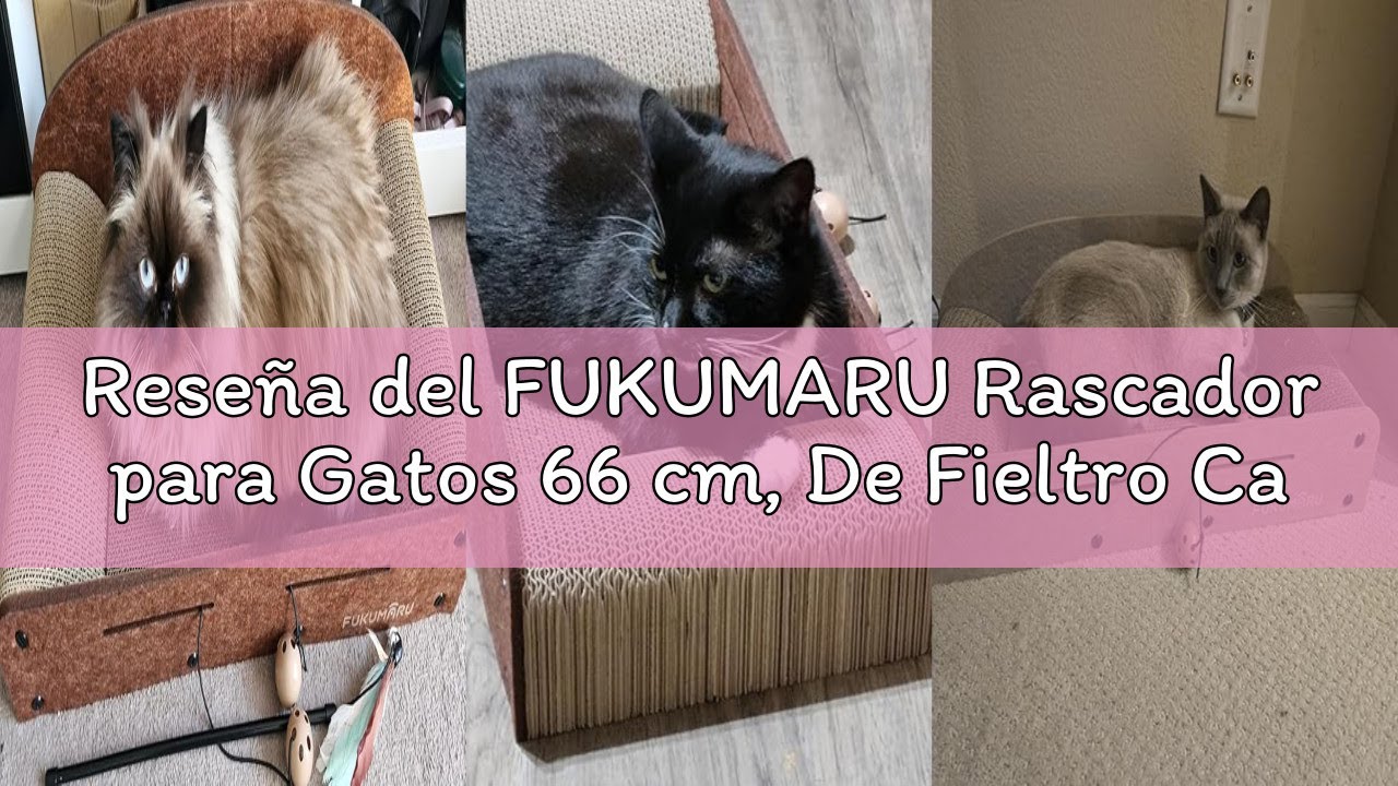 Reseña del FUKUMARU Rascador para Gatos 66 cm, De Fieltro Cartón Ondulado Reciclable con Pelota de J