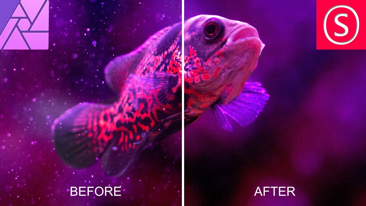 Remove Dust & Specks - Affinity Photo Tutorial