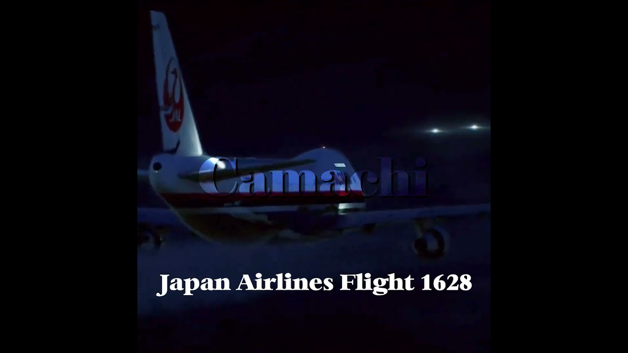 Japan Airlines cargo flight 1628 #aviations #aviation #airplane #UFO #japanairline #cargo #incident
