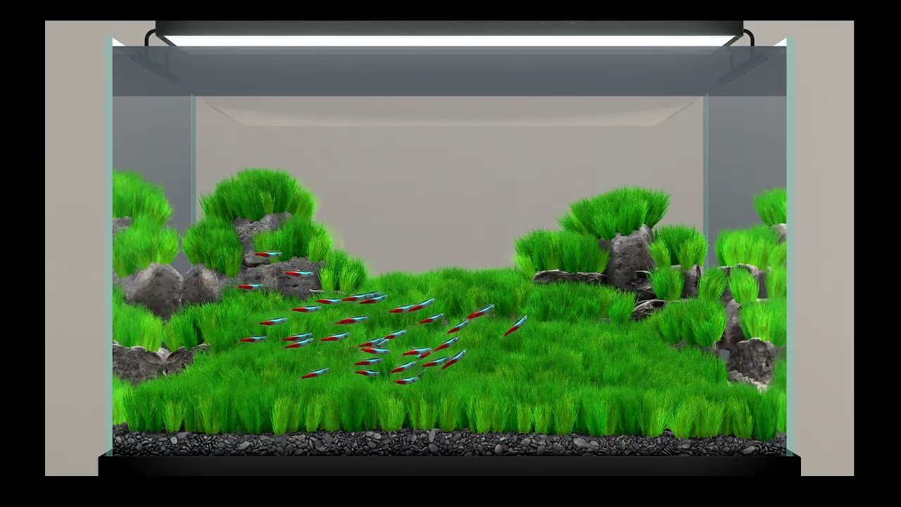 AQUARIUM / FISHTANK IDEAS - ultimate virtual fishtank
