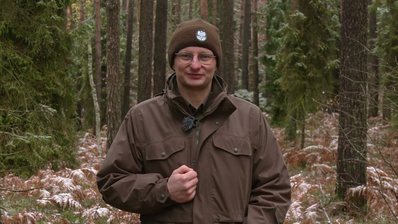 Cztery Pory Lasu odc.9: Świat grzybów