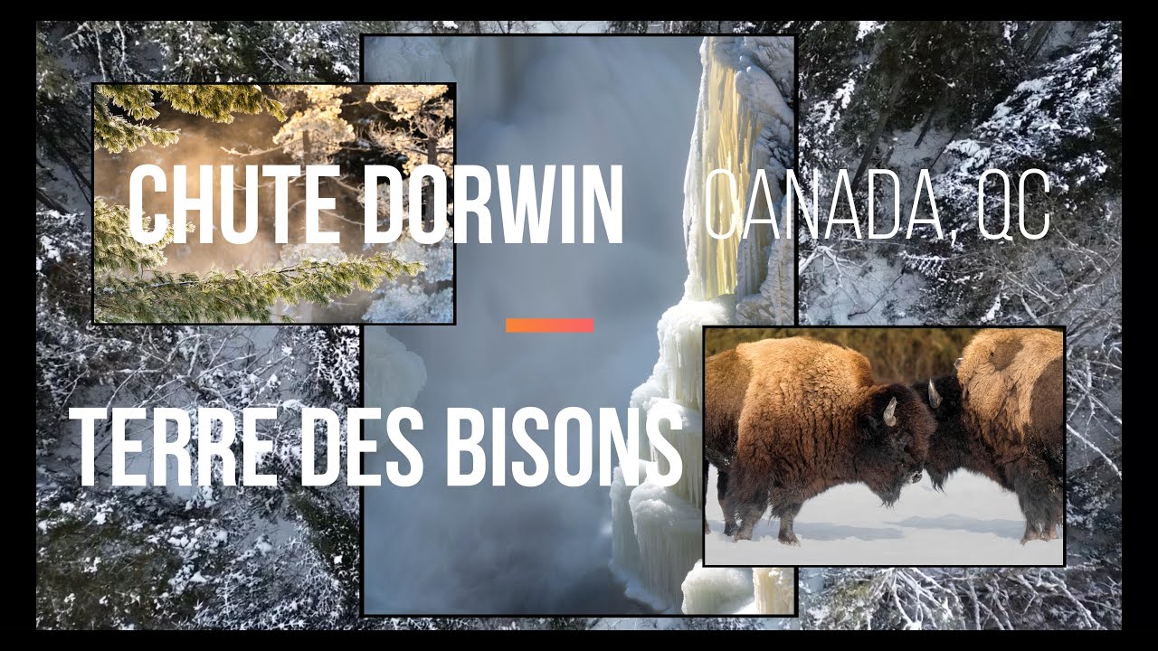 Chute Dorwin et la terre des bisons, Canada, QC