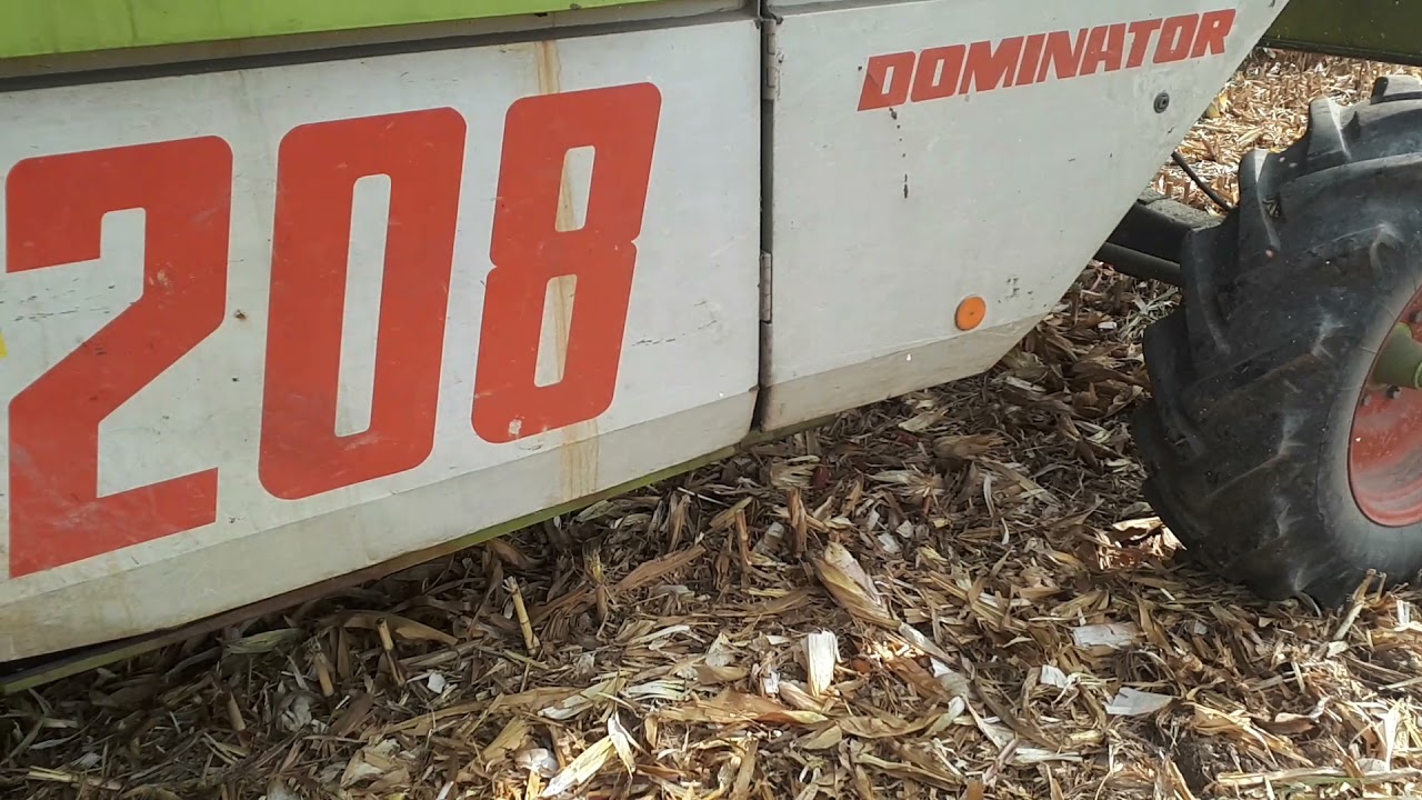 Claas Mega 208 - kukorica aratás 2021