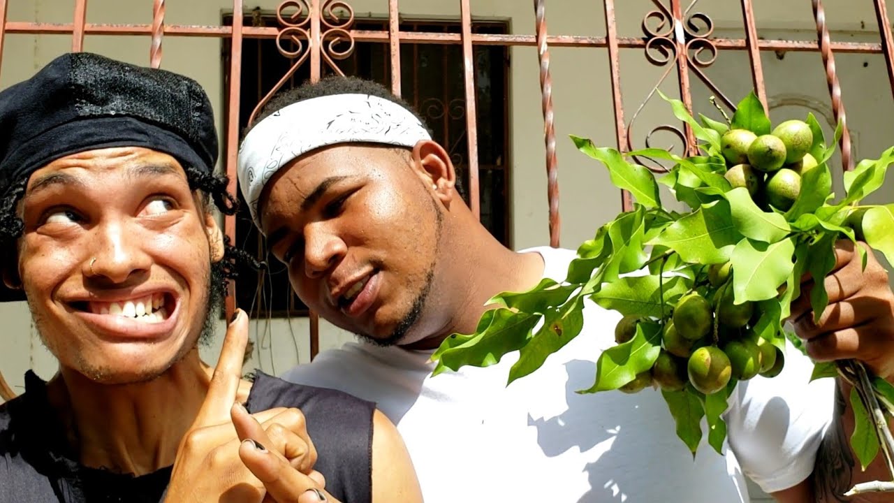 EL LIMONCILLO VOL3 (  DAME EL CHIKINAII )  // ROCOLOCO OFICIAL