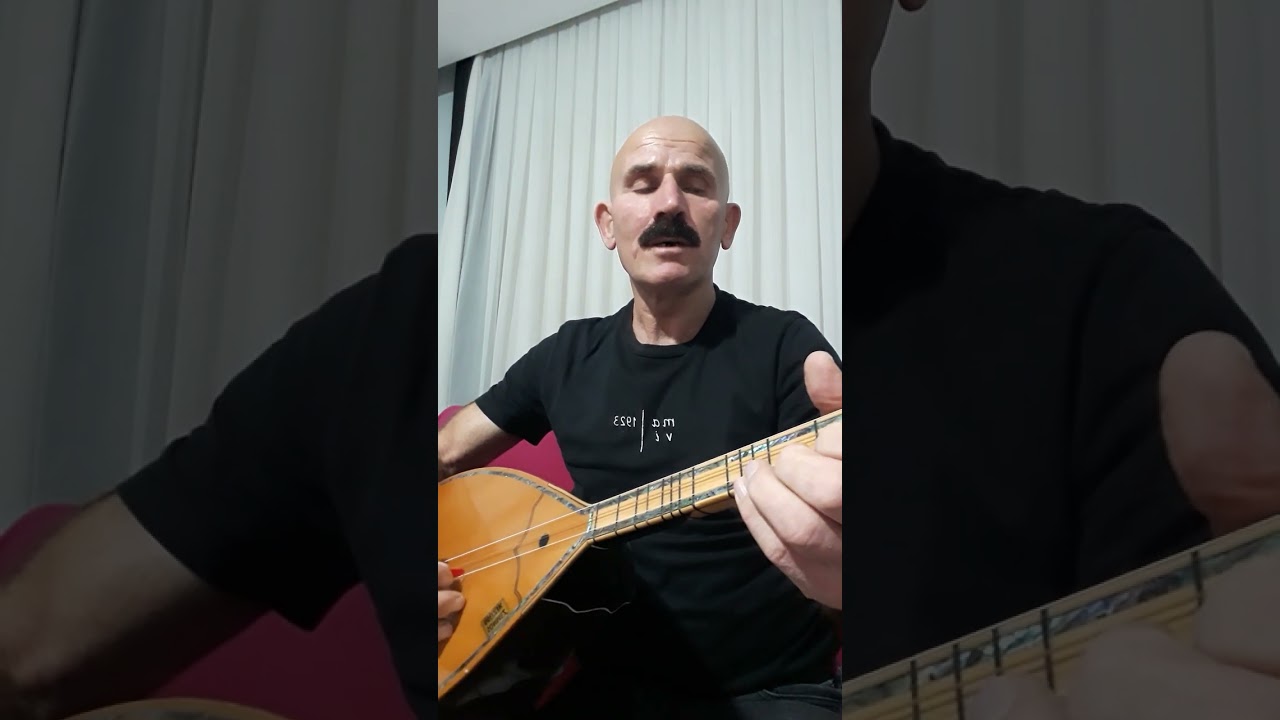 FAHRİ BİRCAN ALDIN AKLIM BİR BAKIŞDA.