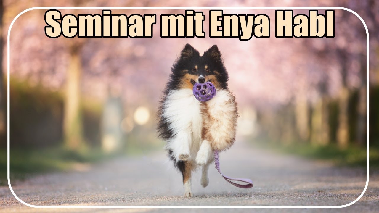 Enya Habel Seminar März 2022