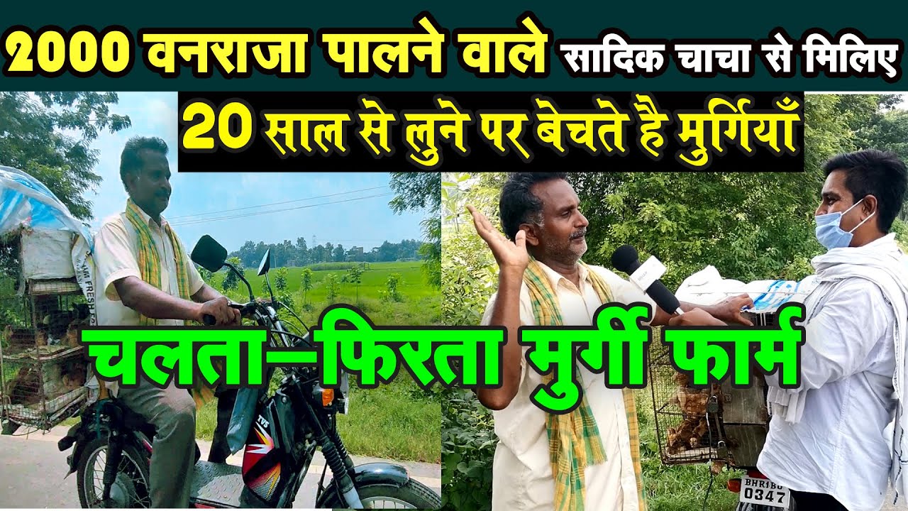 20 साल से VANRAJA MURGI PALAN करने वाले मो. सादिक़ गाँव - गाँव फेरी लगाकर मुर्गियां के चूजे बेचते है