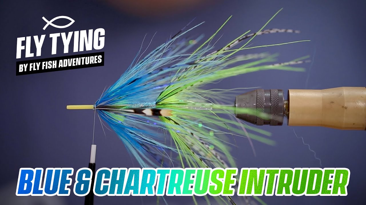 Blue & Chartreuse Chinook Intruder Tube - By Stuart Foxall