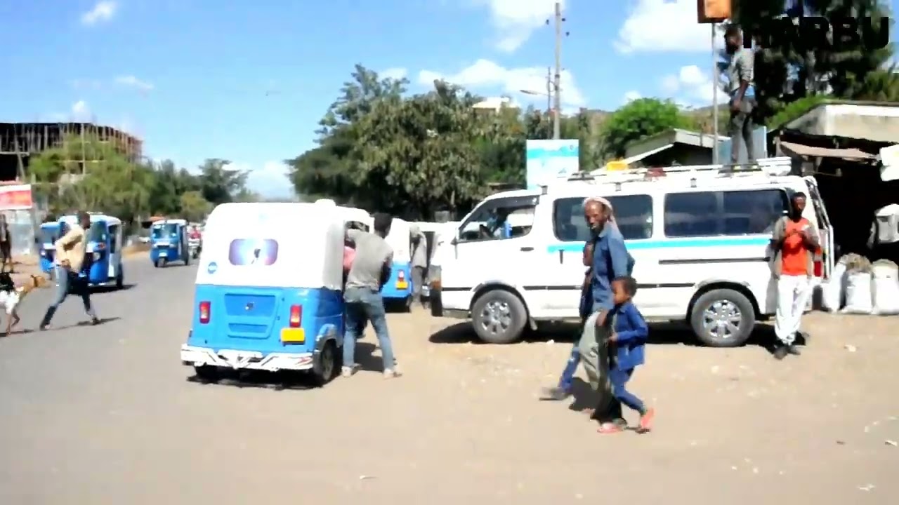 ወሎ ሀርቡ ኢትዮጵያ🇪🇹